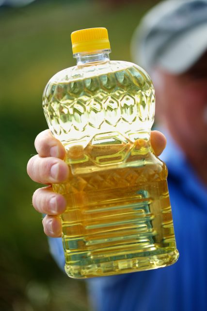 Why Choose Canola Oil – For the Health of it!