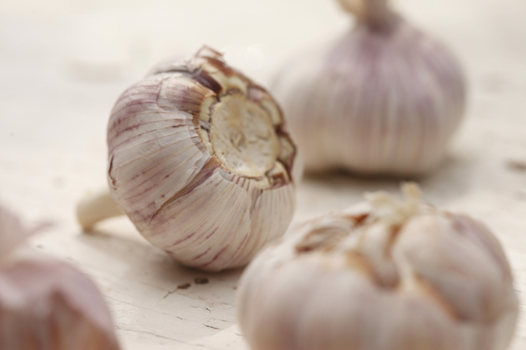 Fresh Garlic | www.canolarecipes.ca