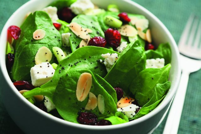 Cranberry Spinach Salad with Poppy Seed Dressing