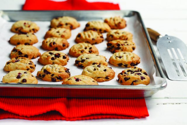 Cranberry Chocolate Chip Cookies