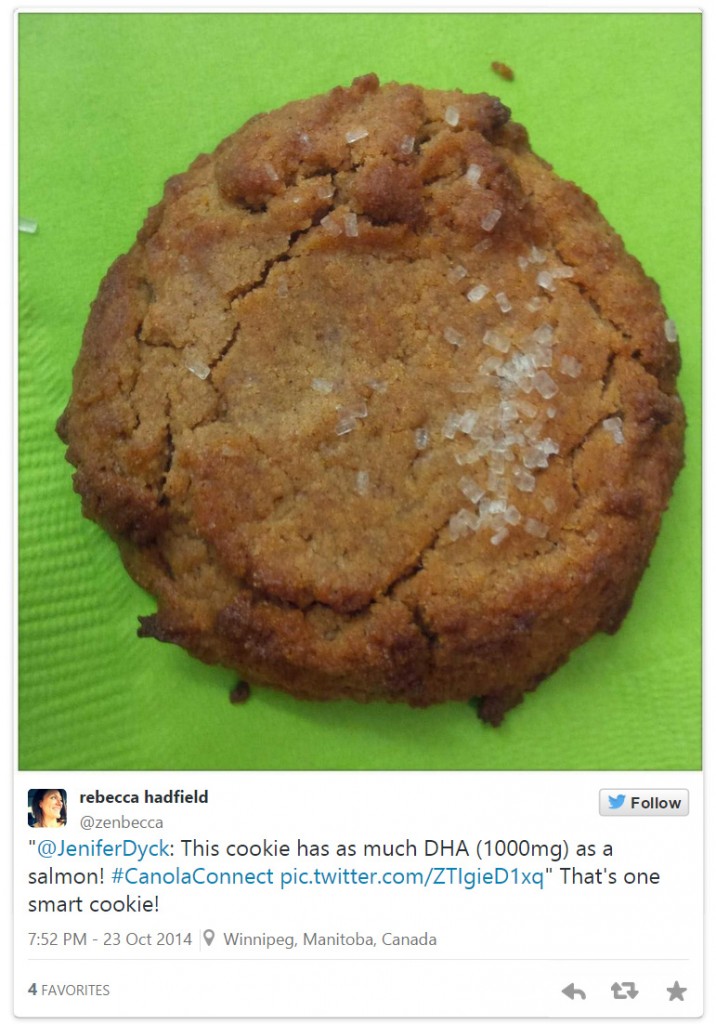 DHA Cookie from Does Science Belong on my plate 2014 | www.canolaeatwell.com