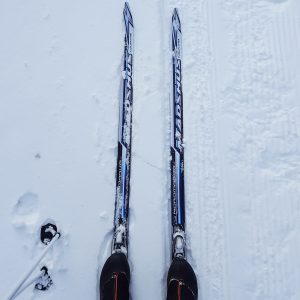 Cross Country Skiing | www.canolaeatwell.com