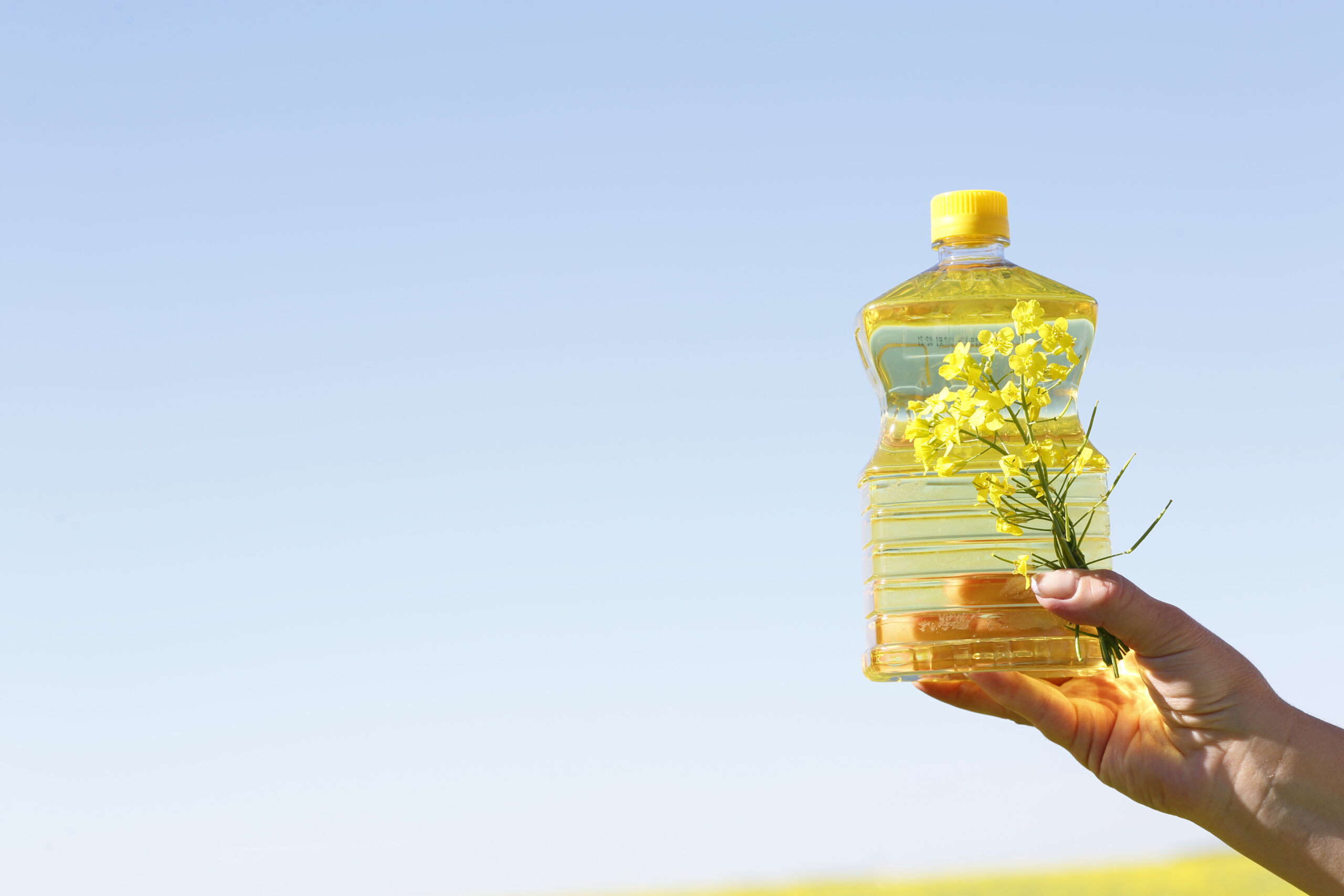 From Seed to Bottle.. Canola Oil Processing