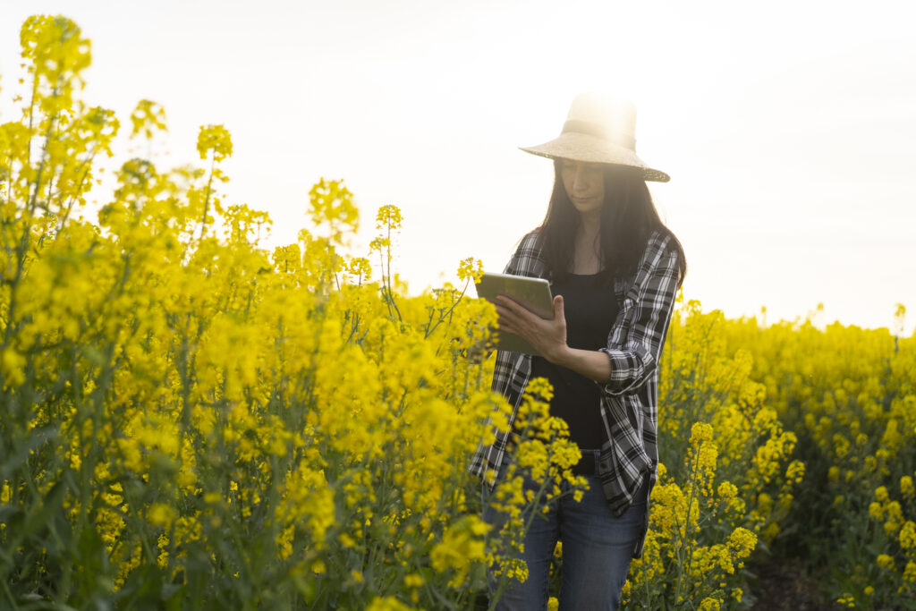 Female agronomist looking at a digital tablet standing in canola field