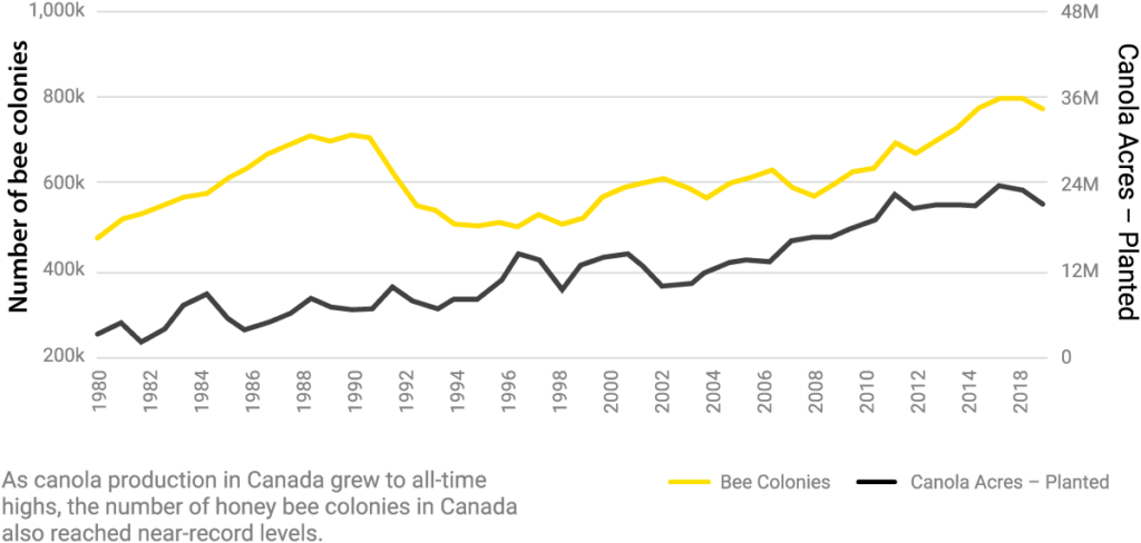 Graph showing the increase of canola acres and increase in  honey bee colonies 