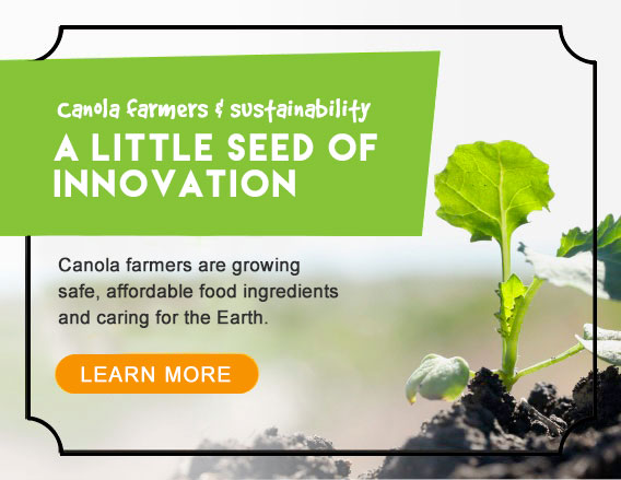 Canola farmers & sustainability