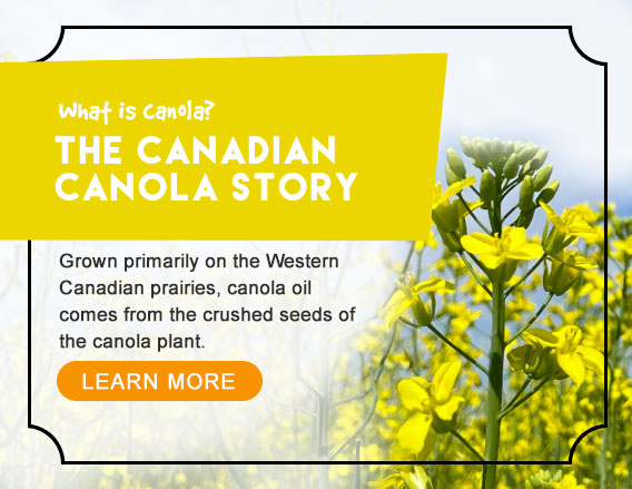What is Canola 